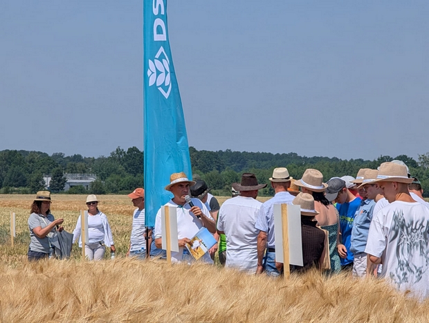 Dyrektor SDOO Pawłowice podczas prezentacji kolekcji odmian PDO